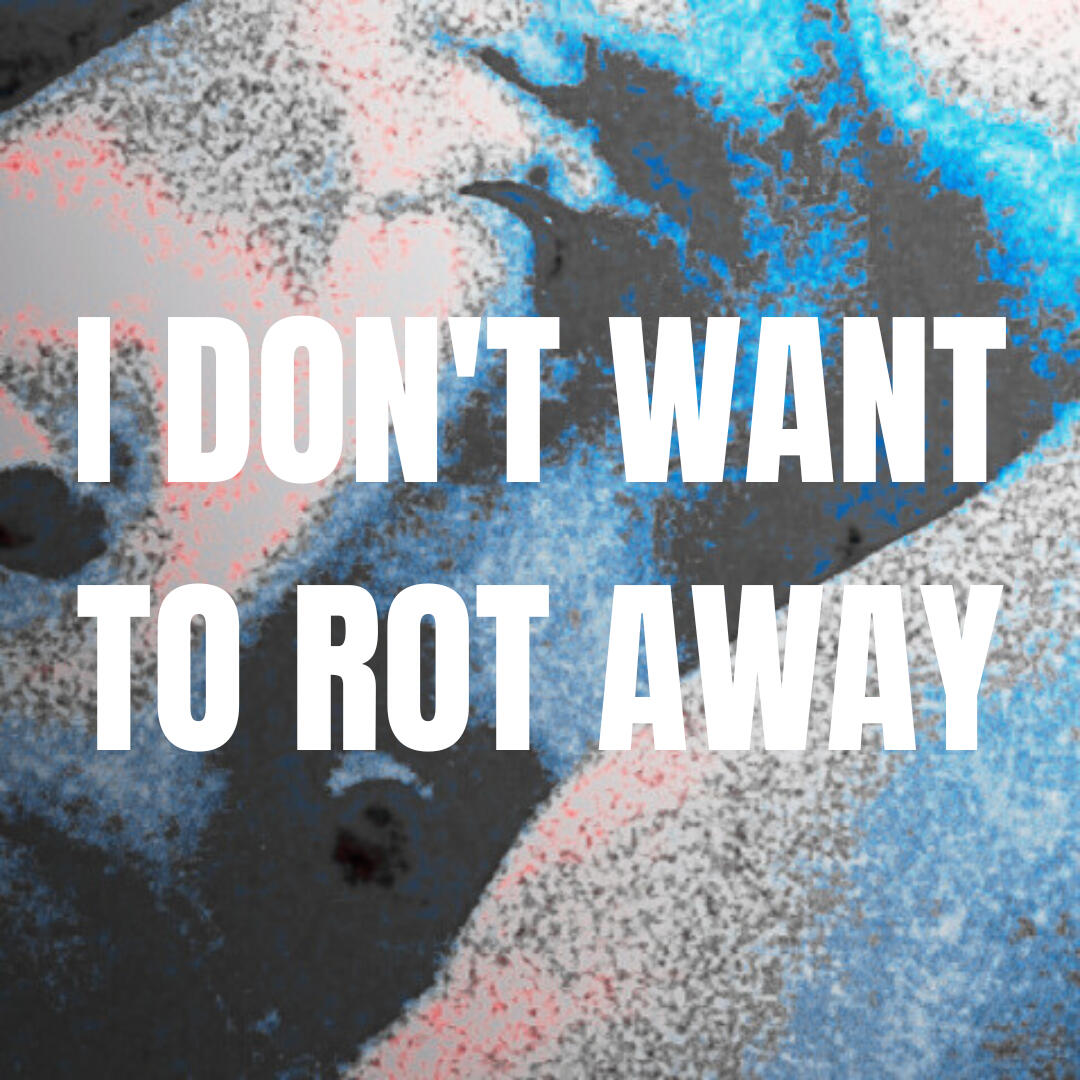 i don't want to rot away (2024)