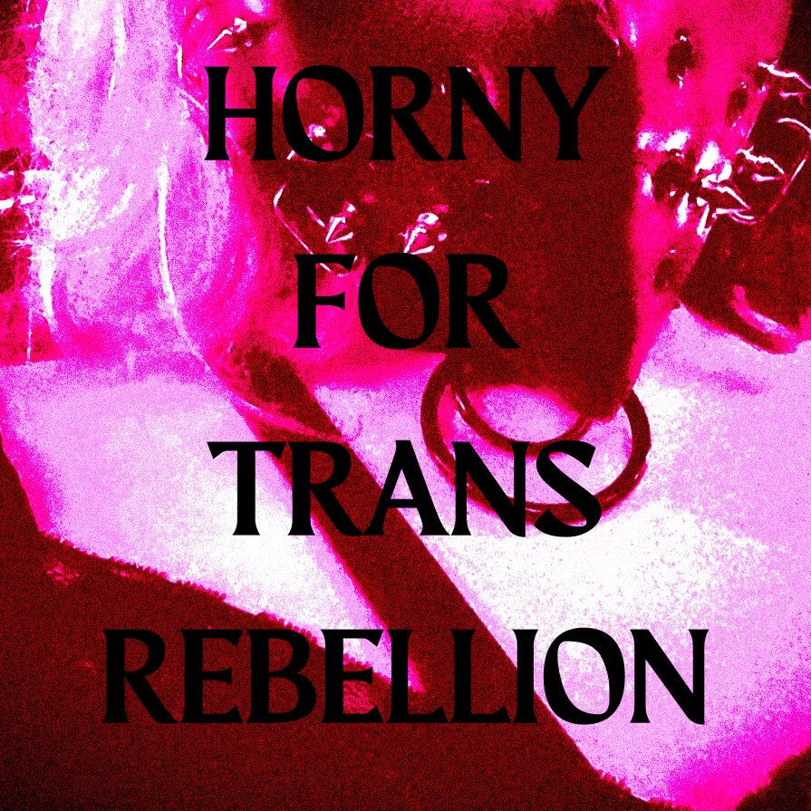 horny for trans rebellion (2024)